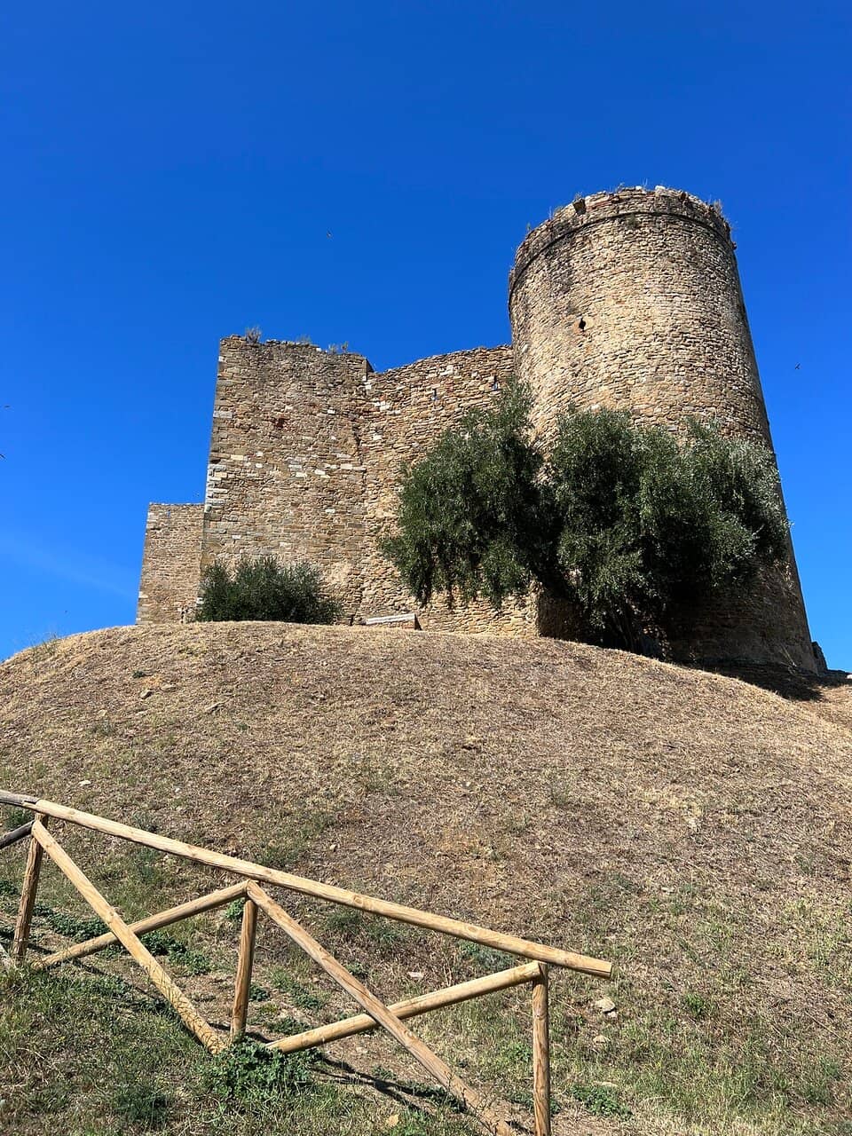 Evening Performances