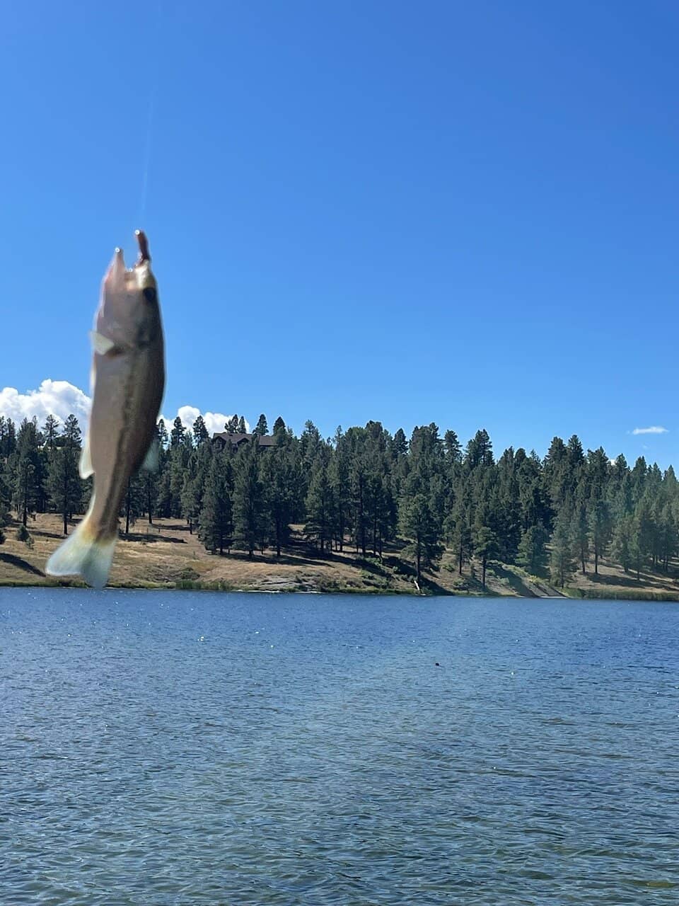 Non-Motorized Boating