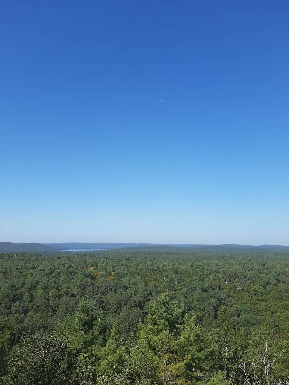 Vertical photo
