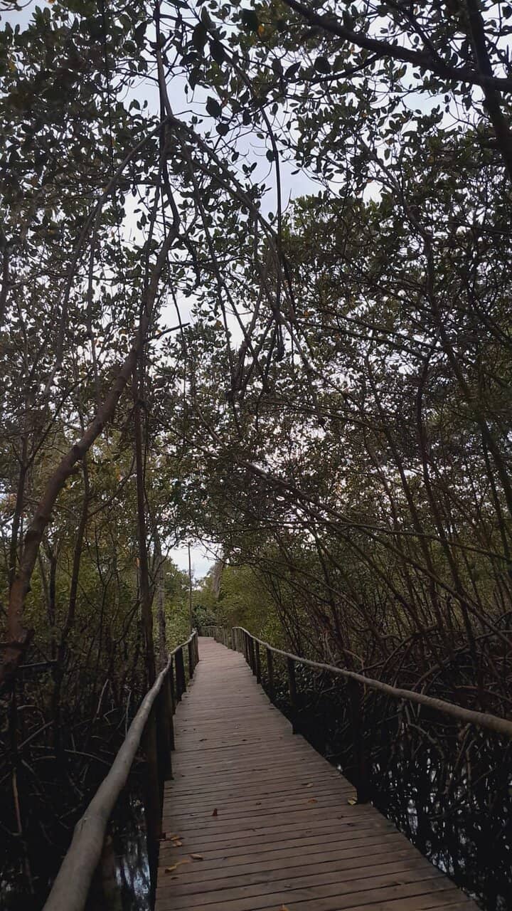 Vibrant Electronic Music Scene