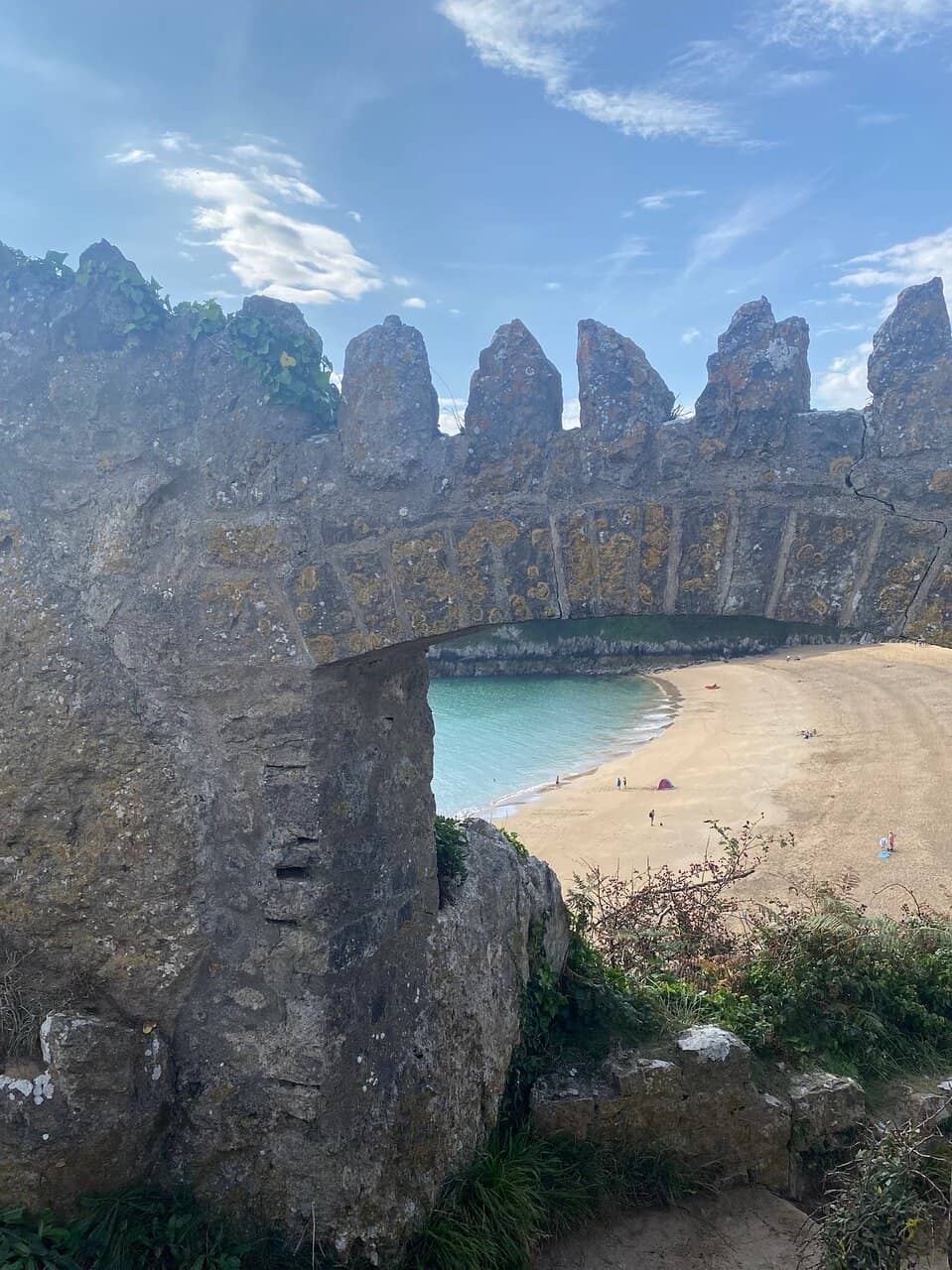 Vertical photo