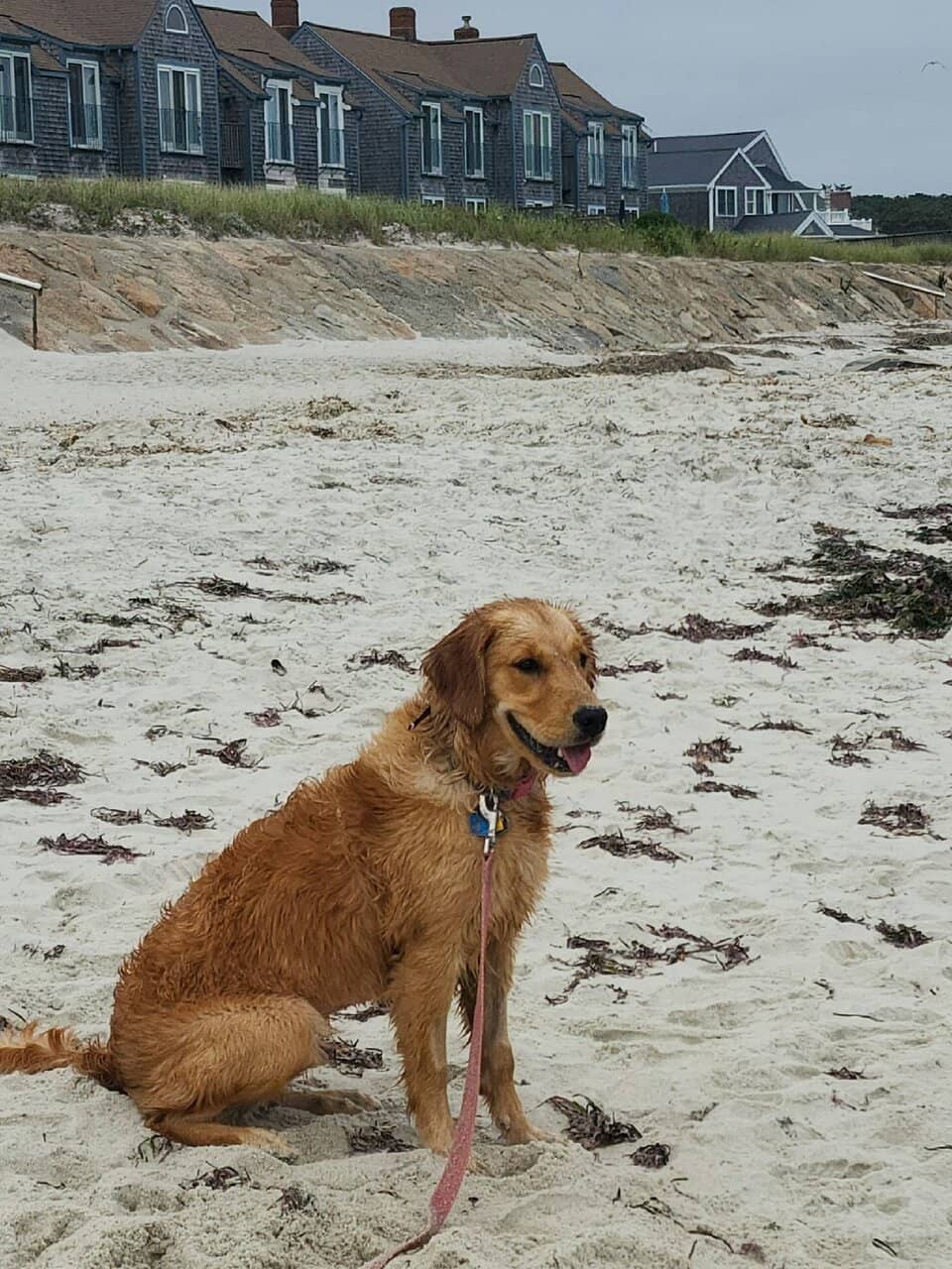 Summer Concert Vibes