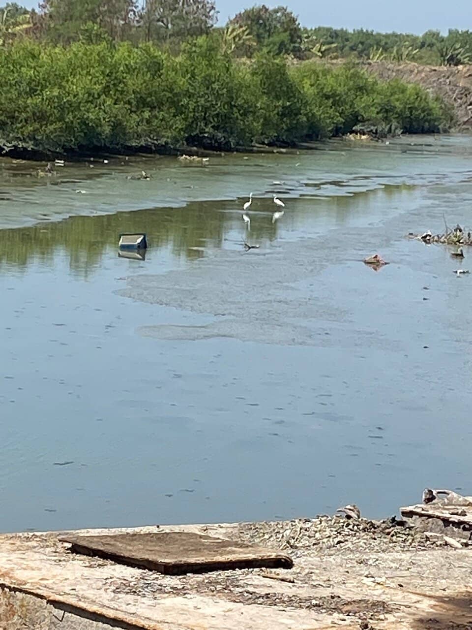 Wildlife Spotting