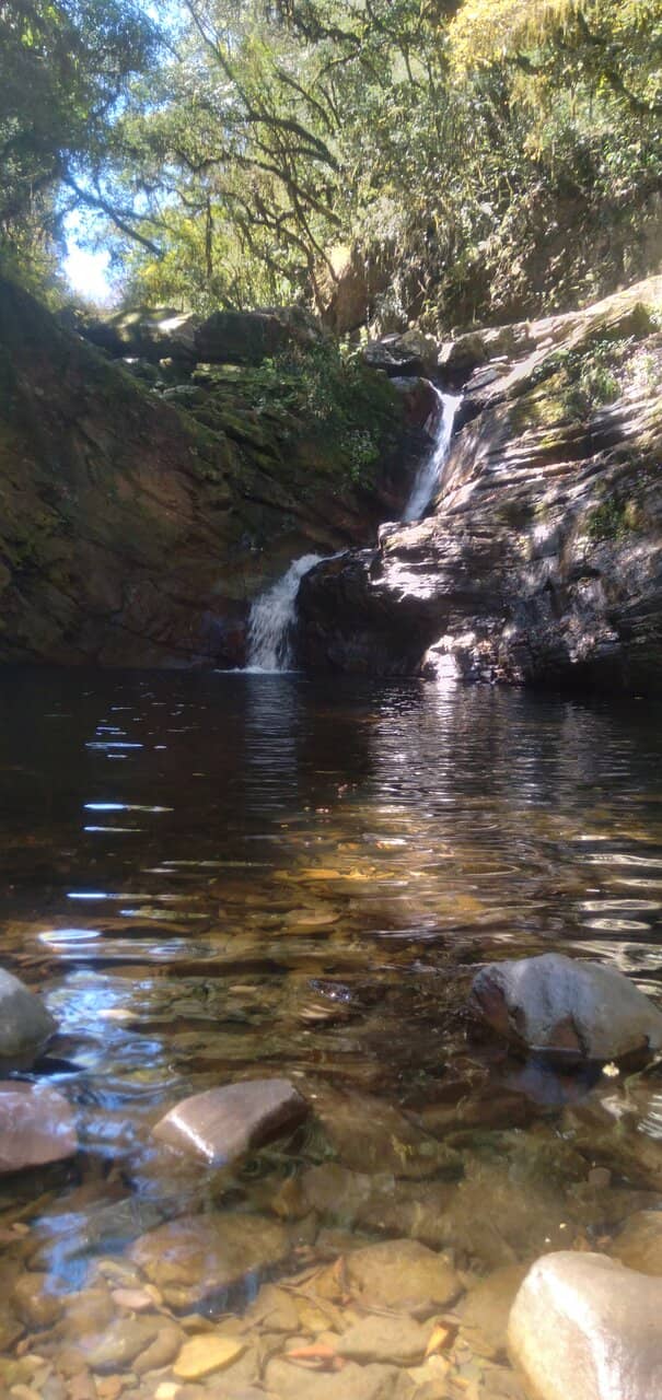 The Scenic Trail