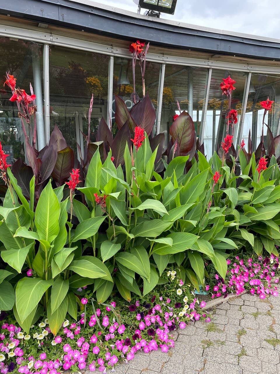 Seasonal Blooms