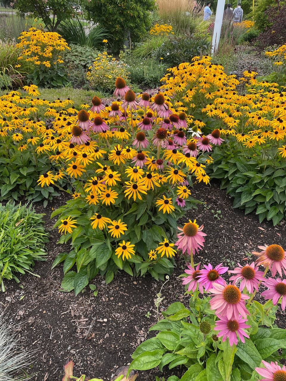 Fairy Garden Delights