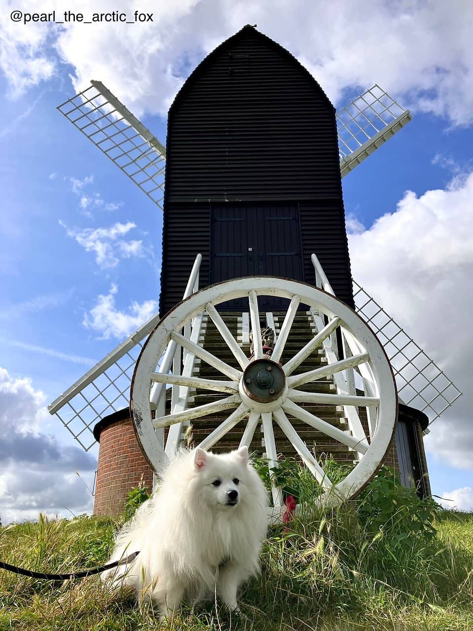 Panoramic Countryside Views