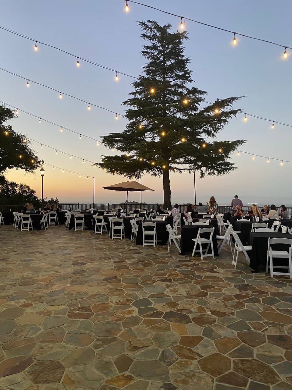 Wine Tasting Events