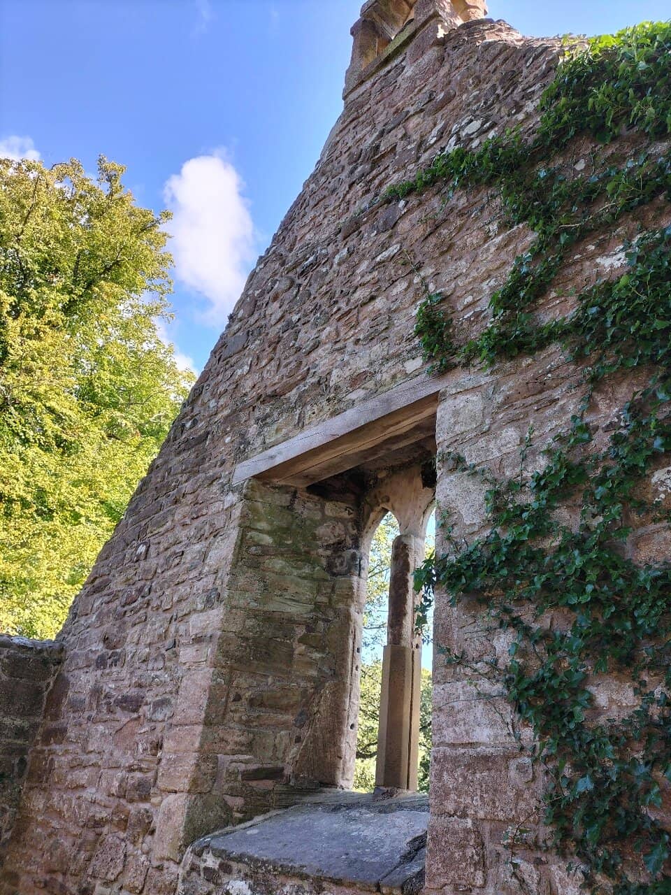 Robert Burns' Family Graves