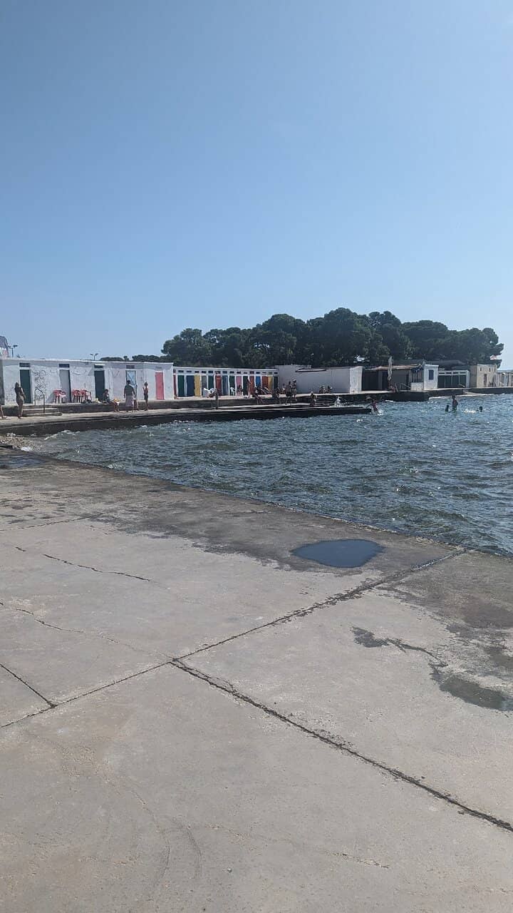 Family-Friendly Atmosphere