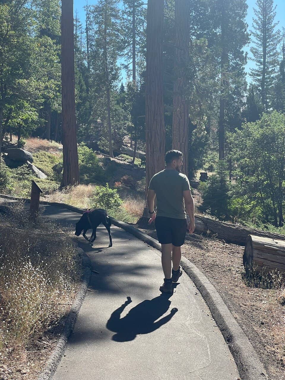 Resilient New Growth