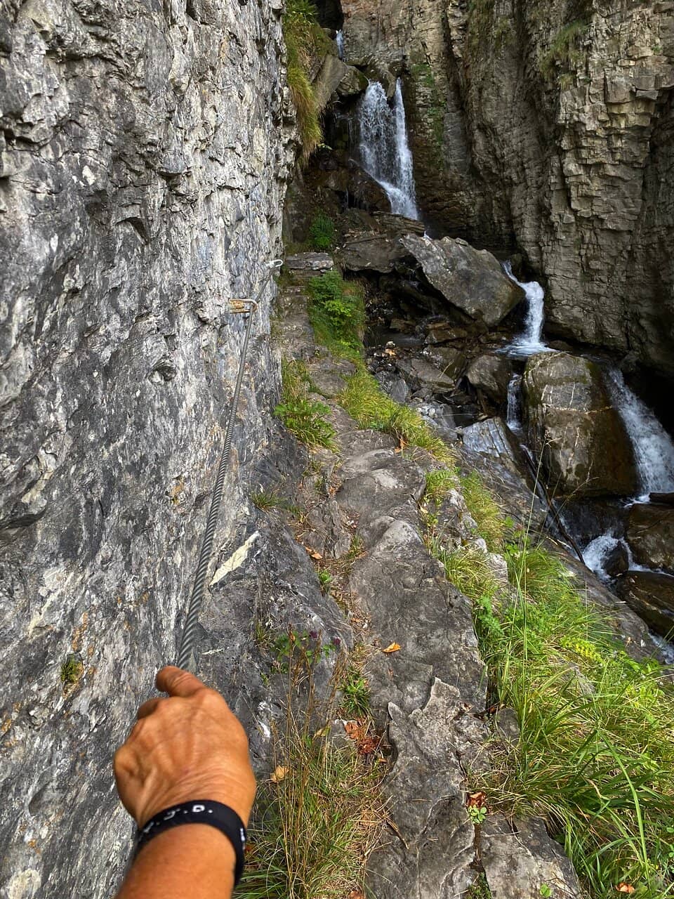 Vertical photo