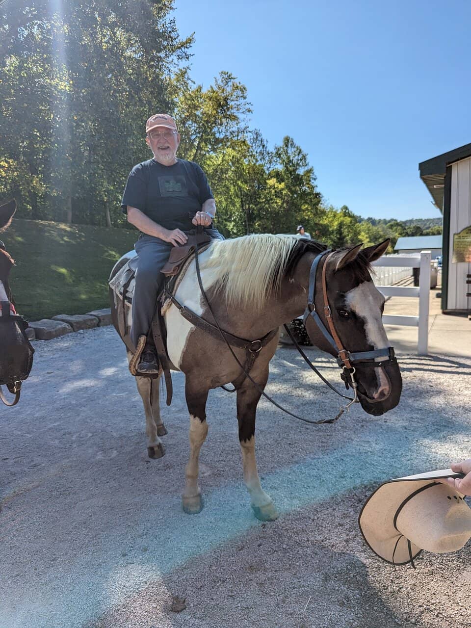 Carriage Tours