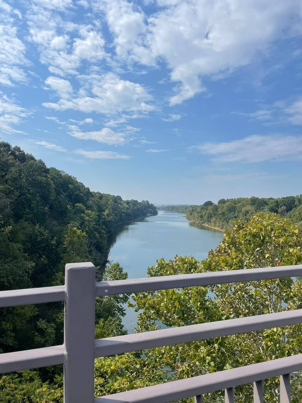 Scenic Wildlife Spotting