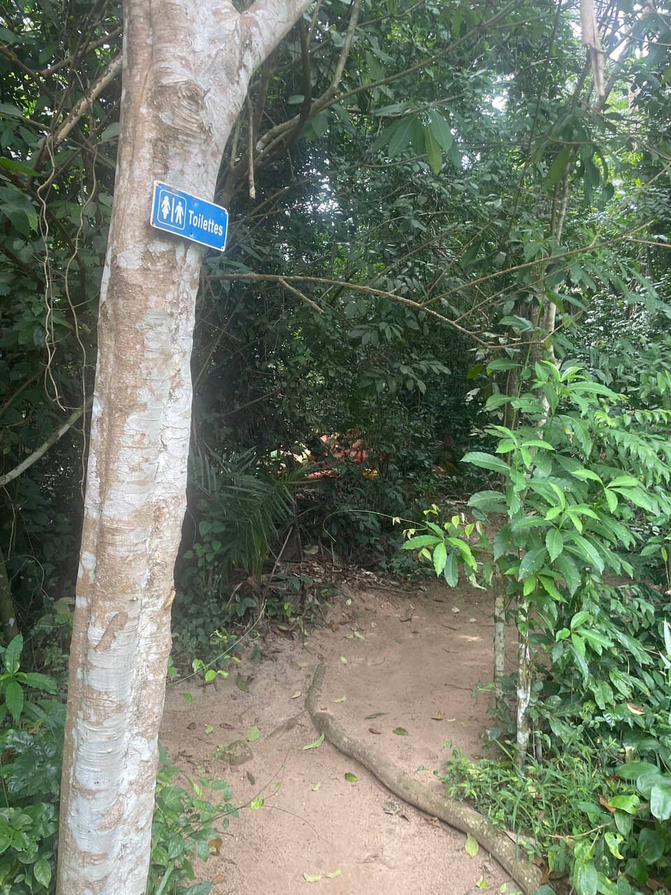 Nature Connection