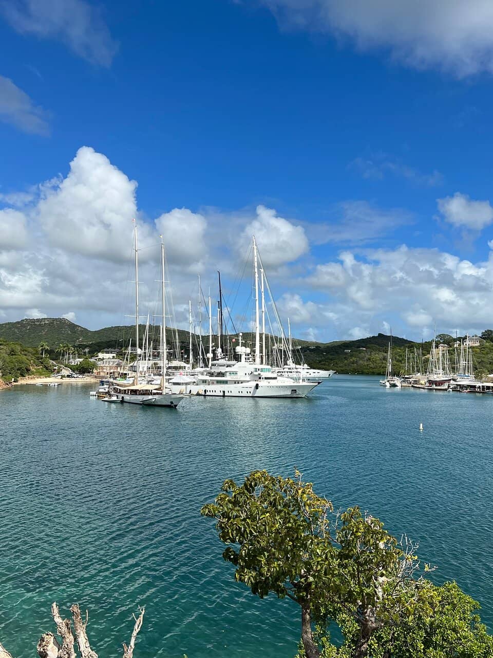 Tide Pooling Adventures