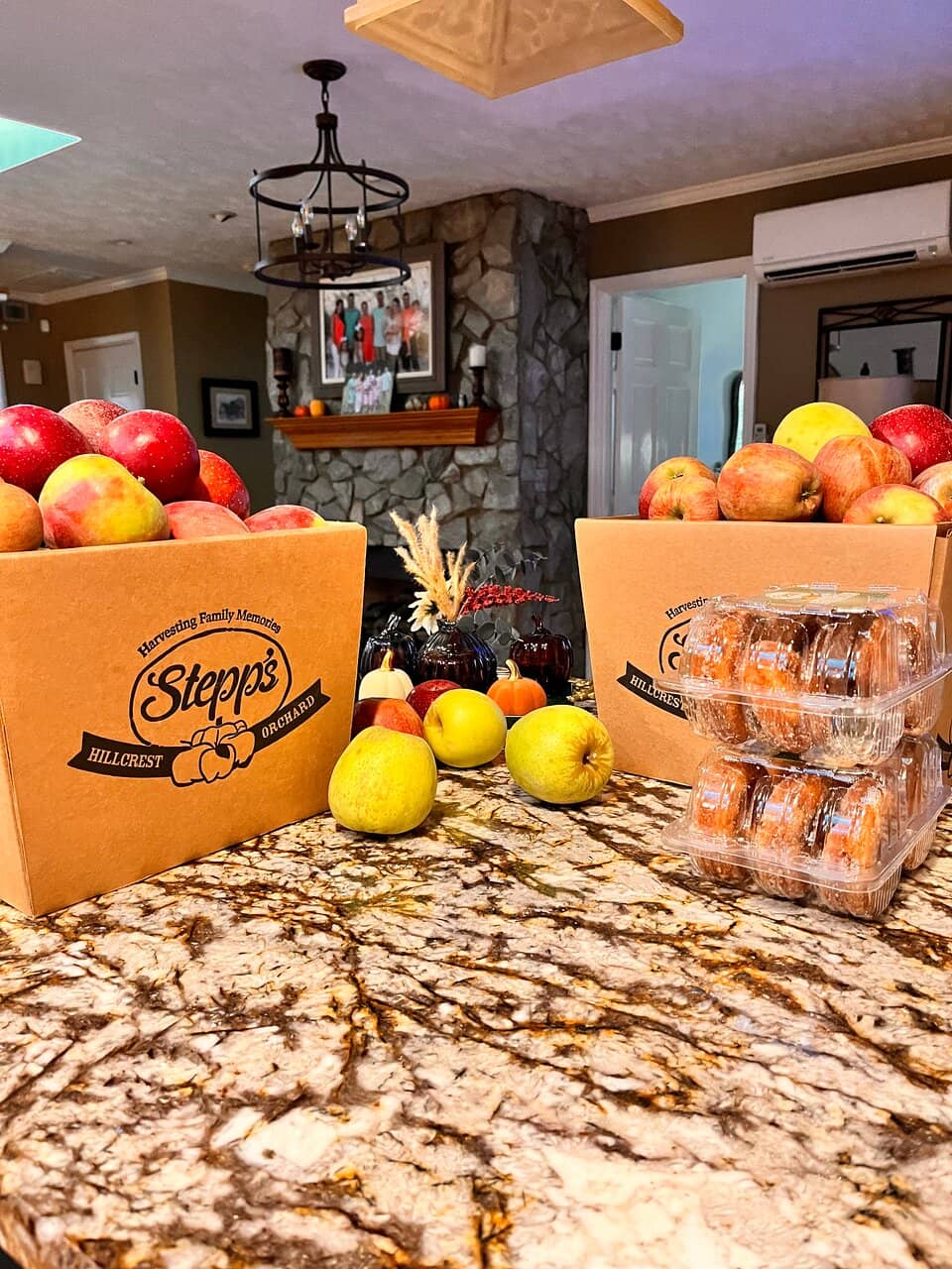 Apple Cannons & Corn Maze