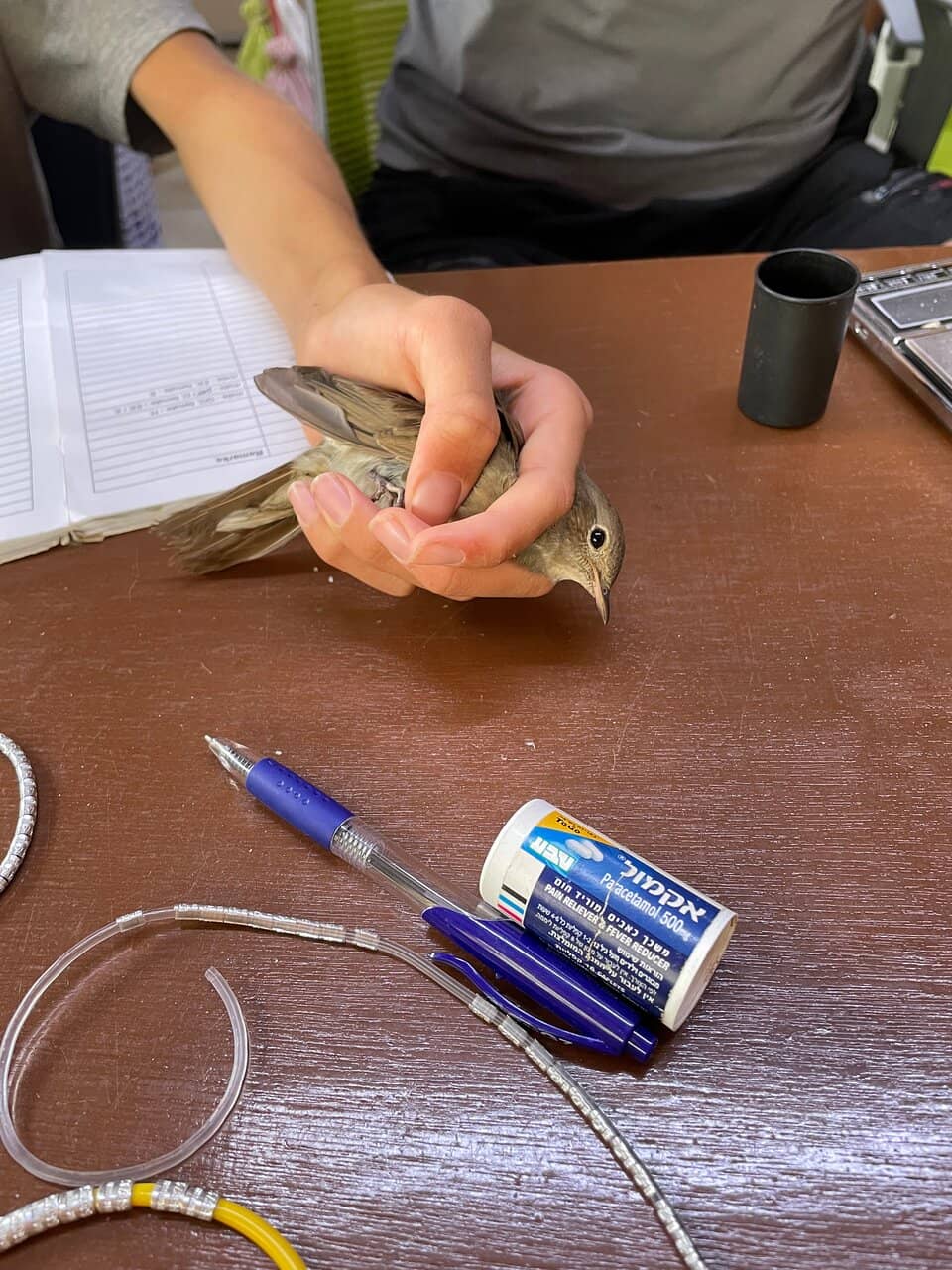 Peaceful Nature Trails