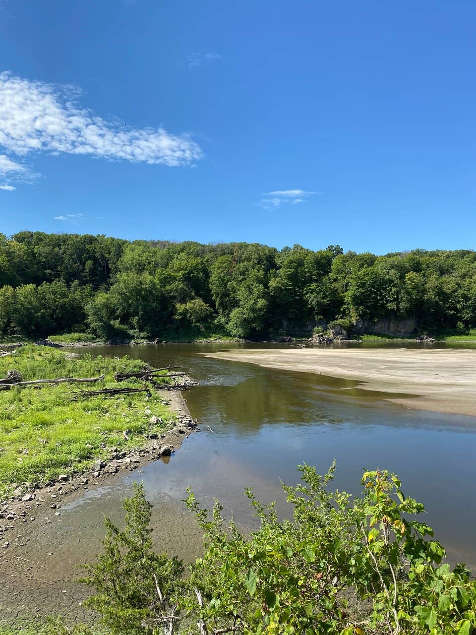 Birdwatcher's Paradise