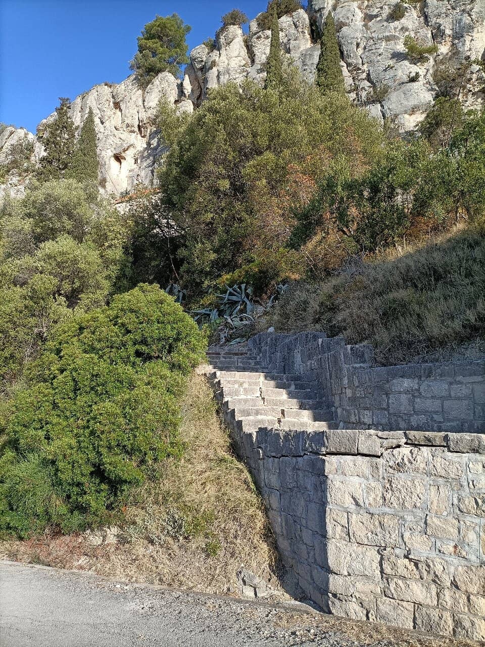 Vertical photo