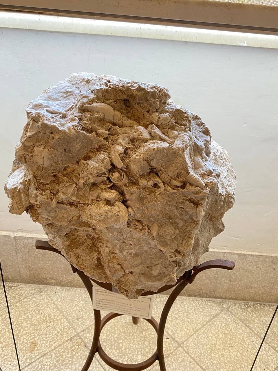 Archaeological Treasures