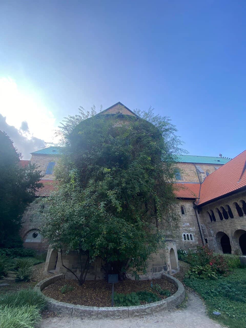 Vertical photo