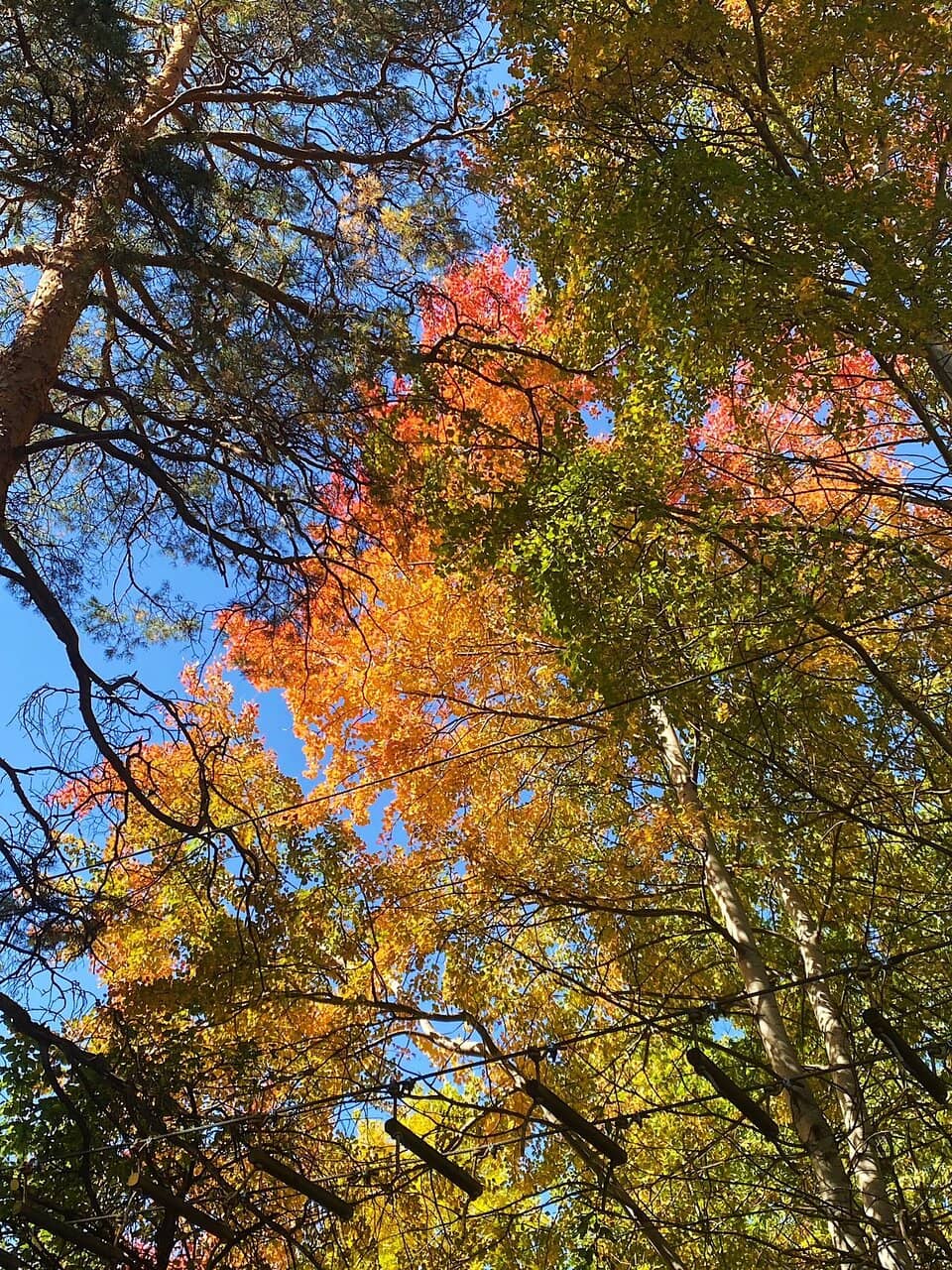 Vertical photo
