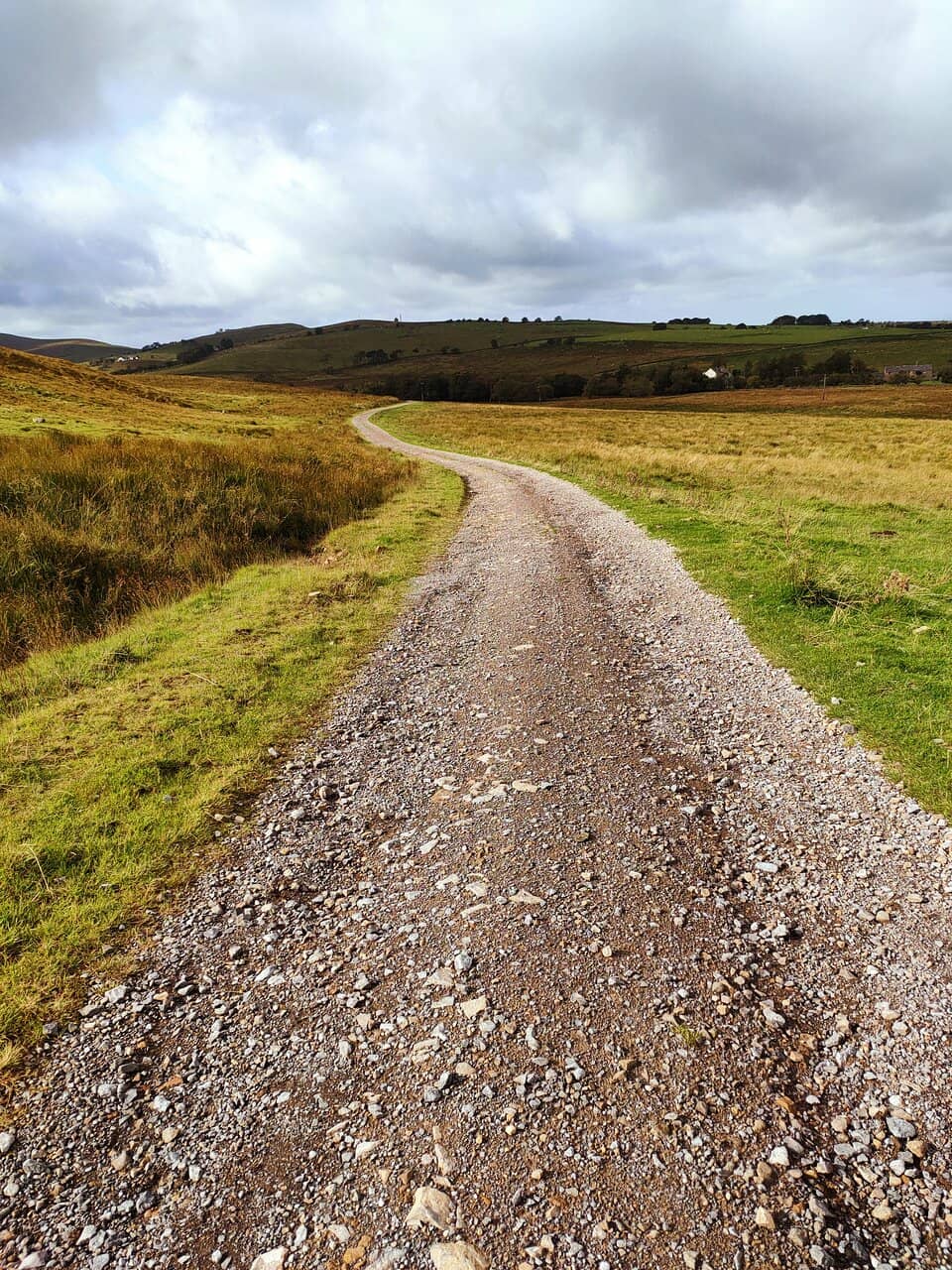 Rare Wildlife Sightings