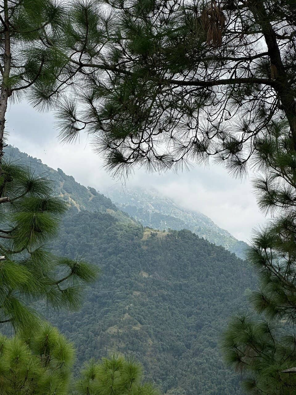 Architectural Details