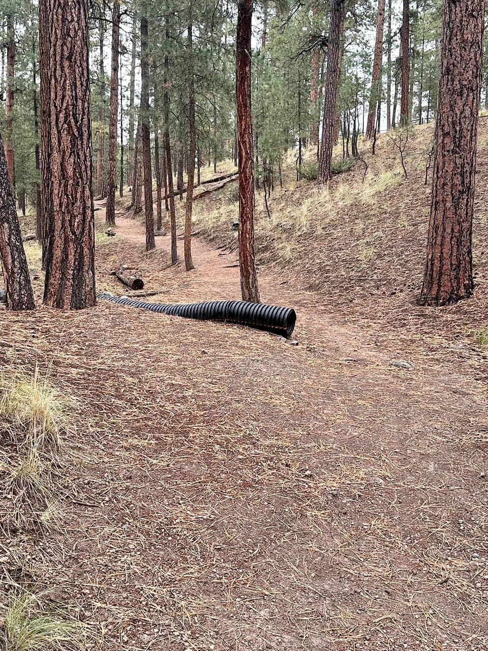 Gilman Tunnels Scenic Drive