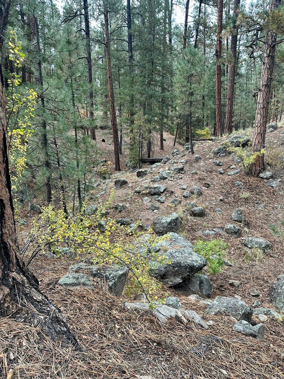 Hike to the Base