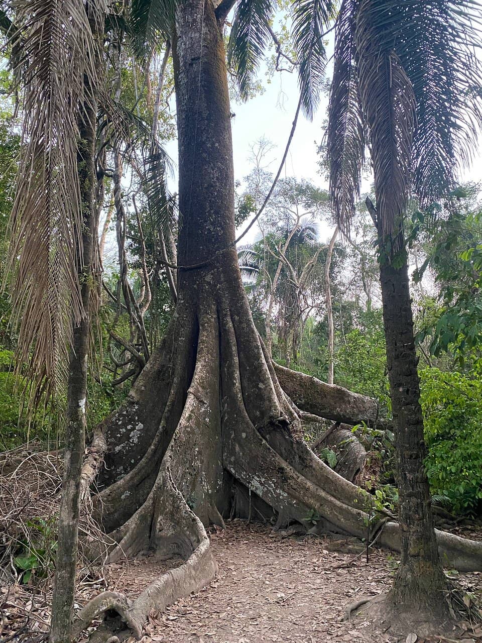 Vertical photo