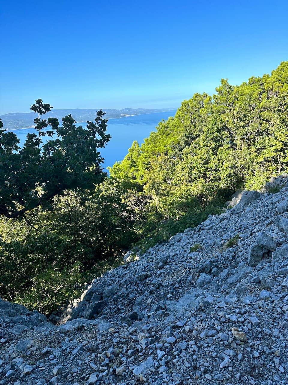 Tranquil Nature Escape