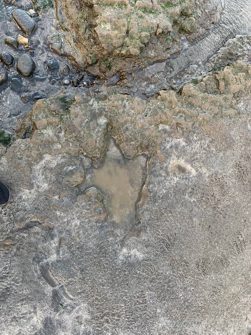 Restored Schoolhouse Charm