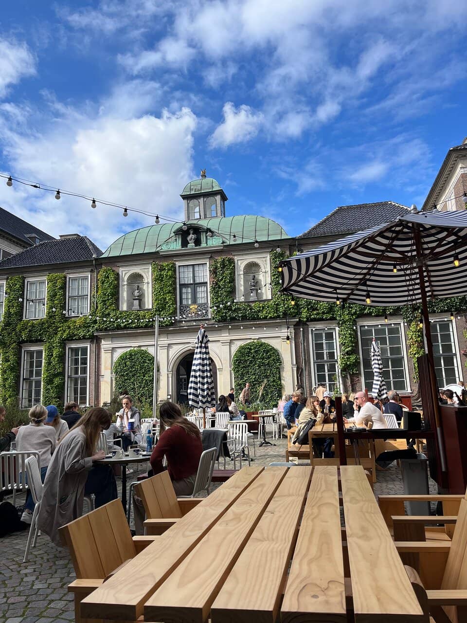 Beautifully Presented Dishes