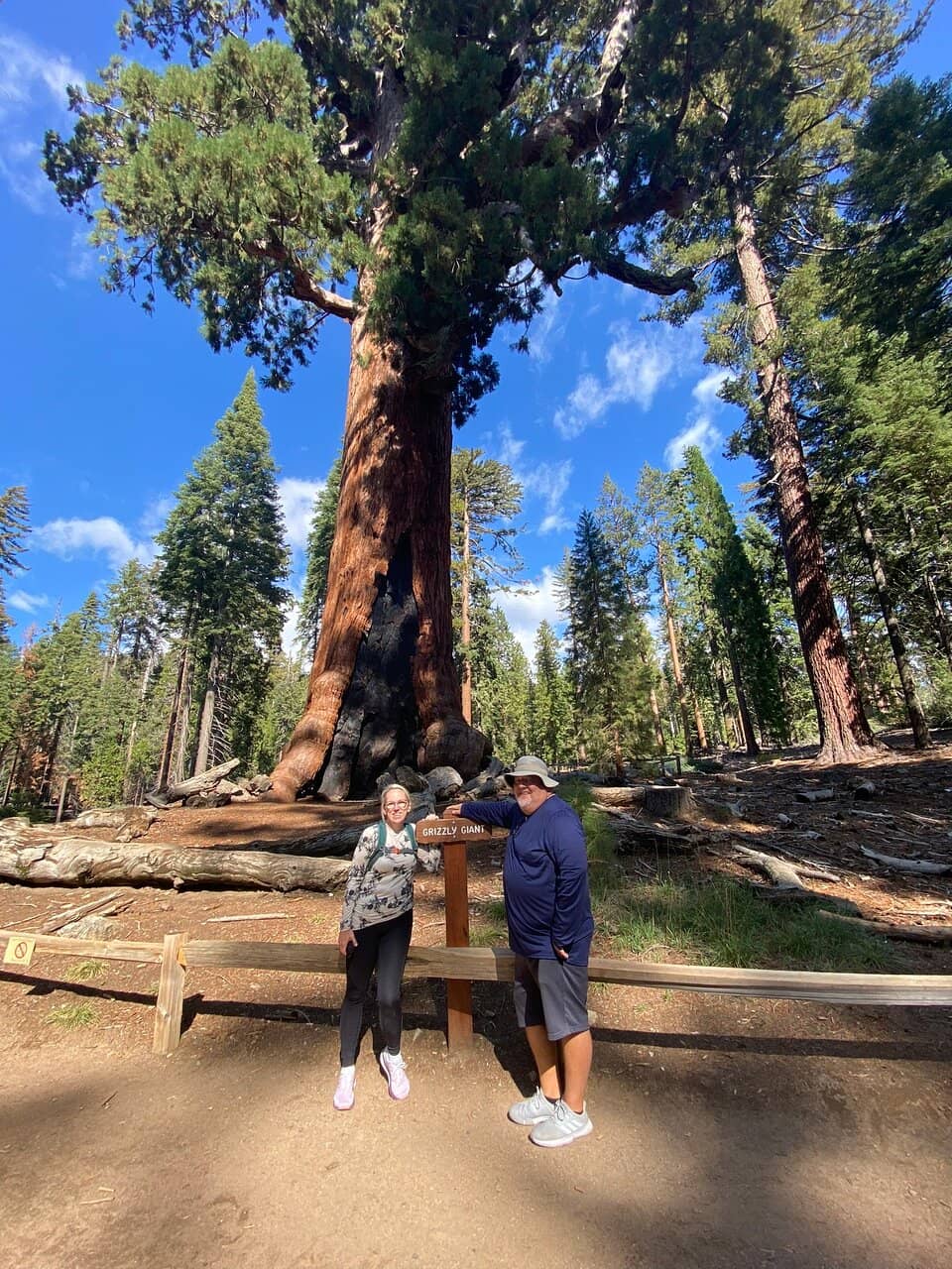 Mariposa Grove Trails