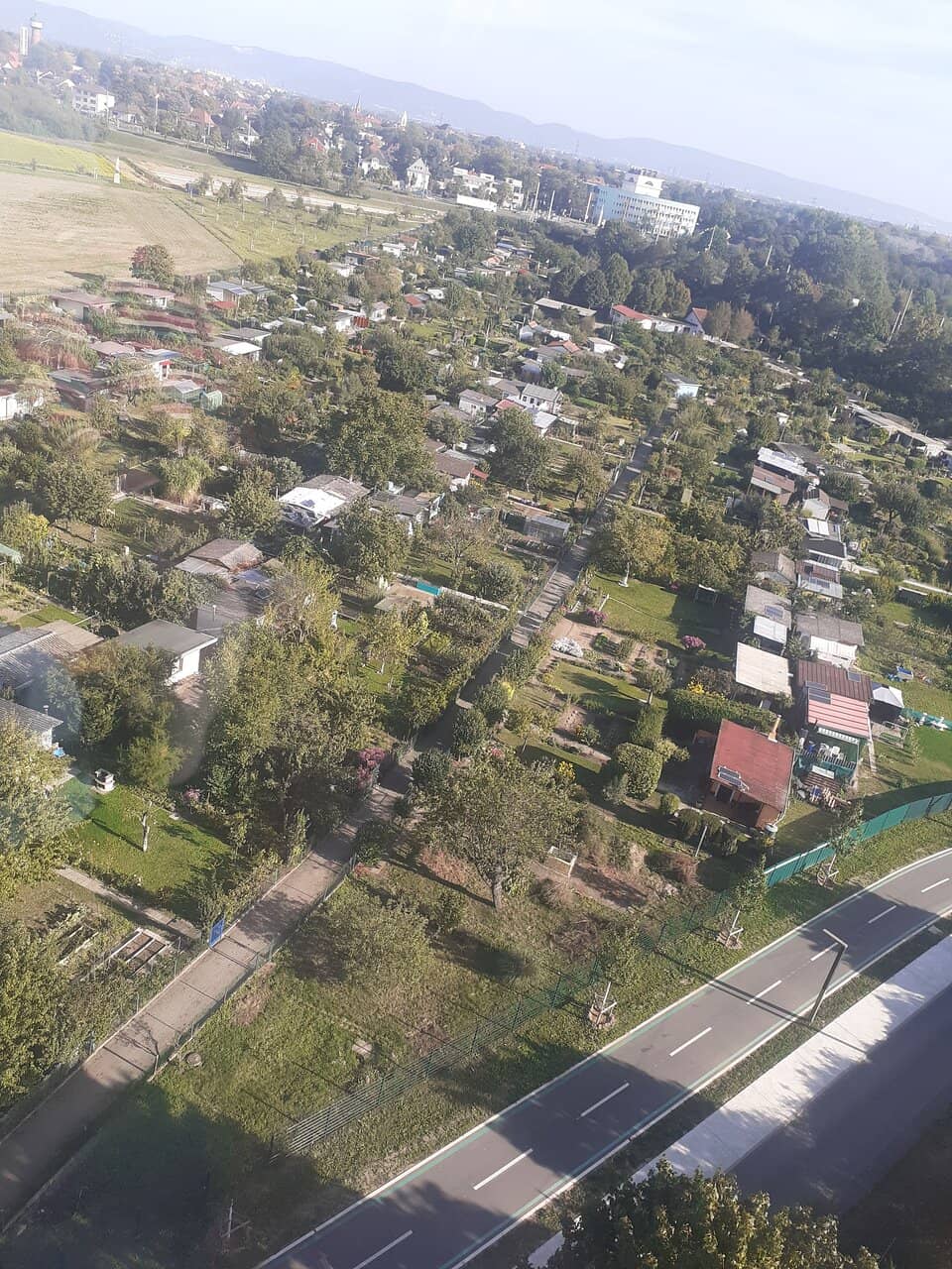 Native Vegetation & Event Spaces