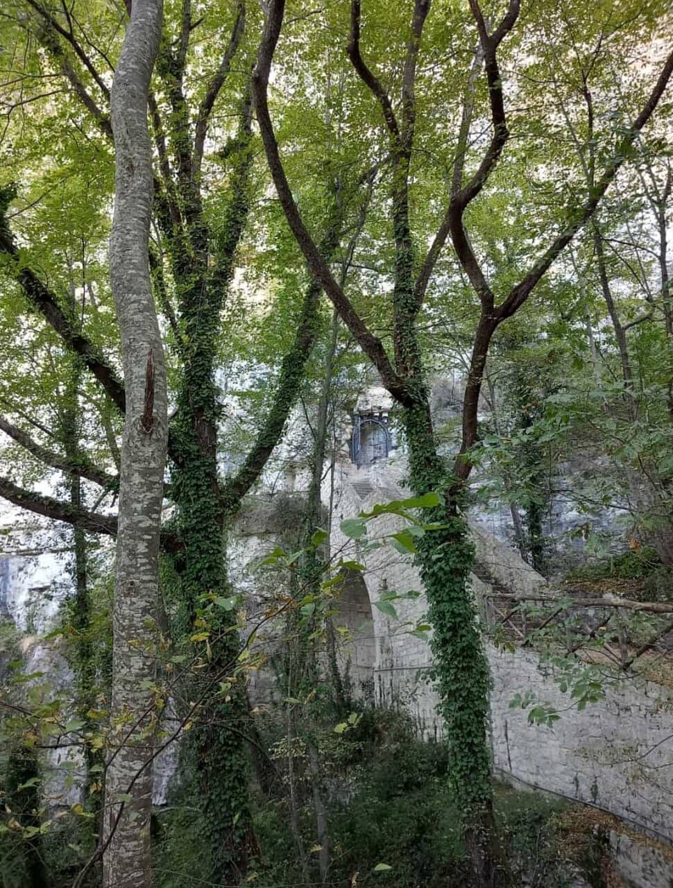Vertical photo