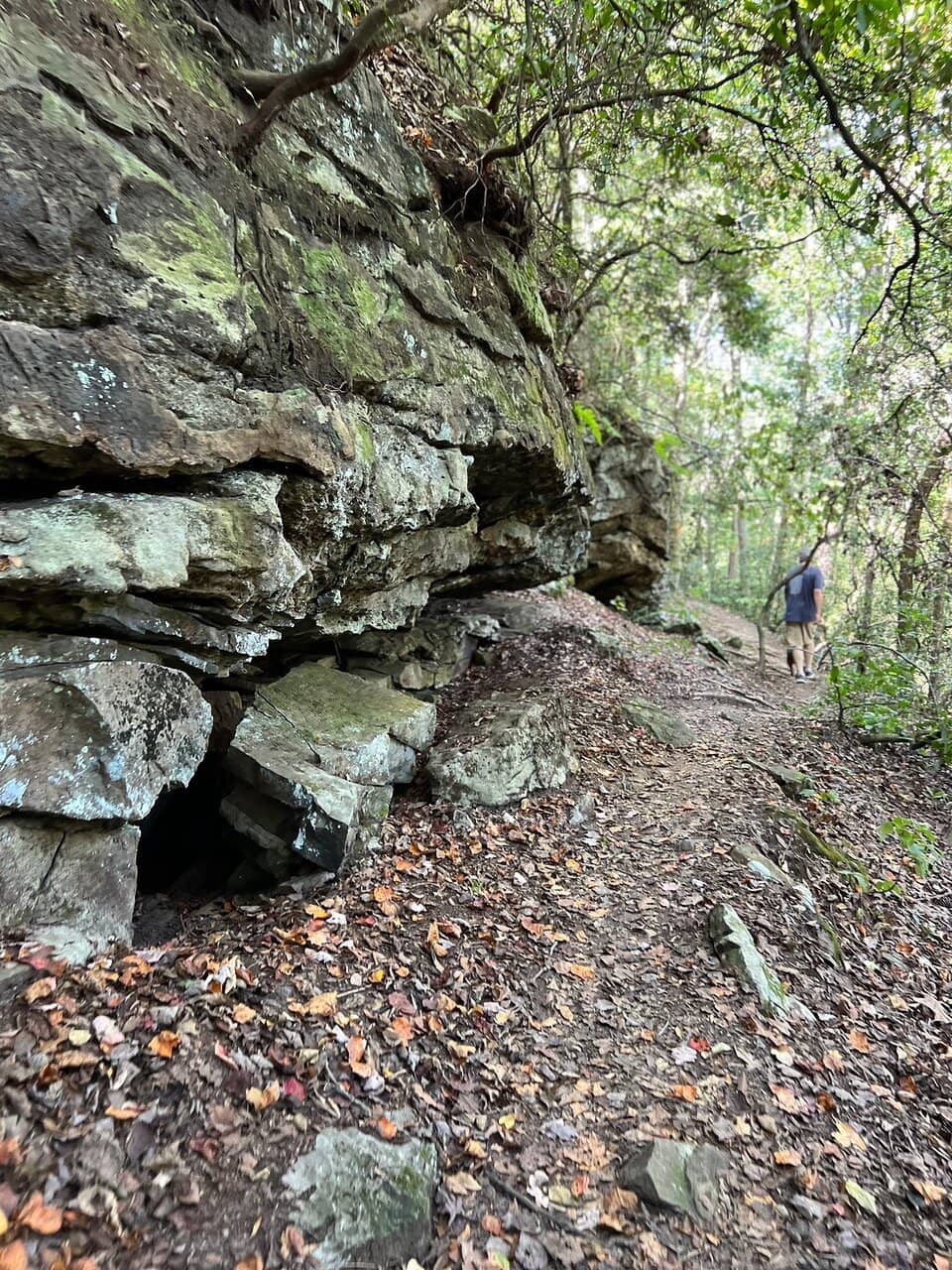 Nature Trails