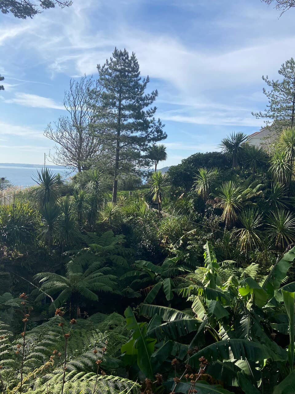 Princess Pavilion Venue