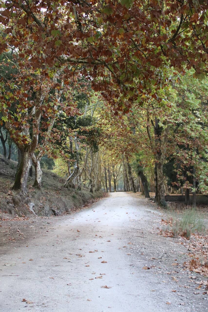 Peaceful Walking Trails