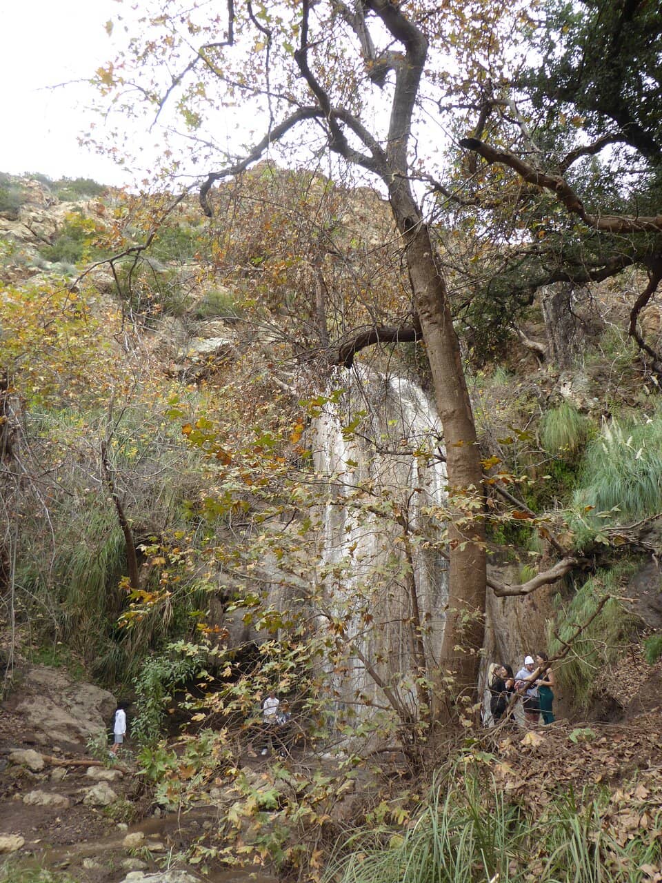 Shaded Canyon Trail