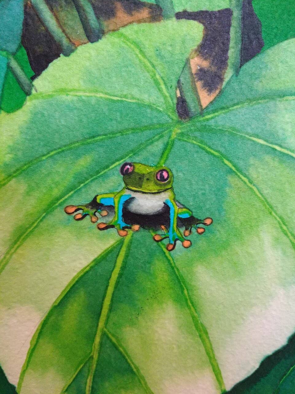 Biodiversity Illustrations