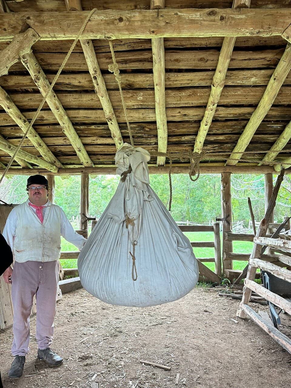 Draft Horse and Oxen Displays