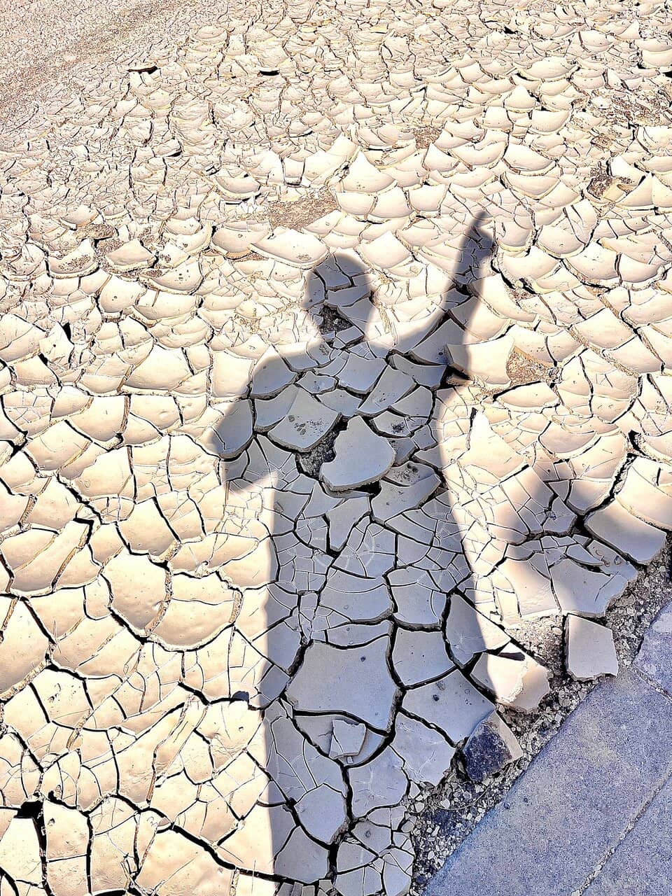 The 'Spooky Hollow' Section