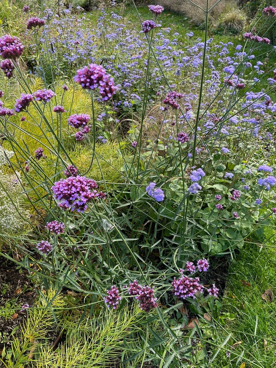 Children's Garden