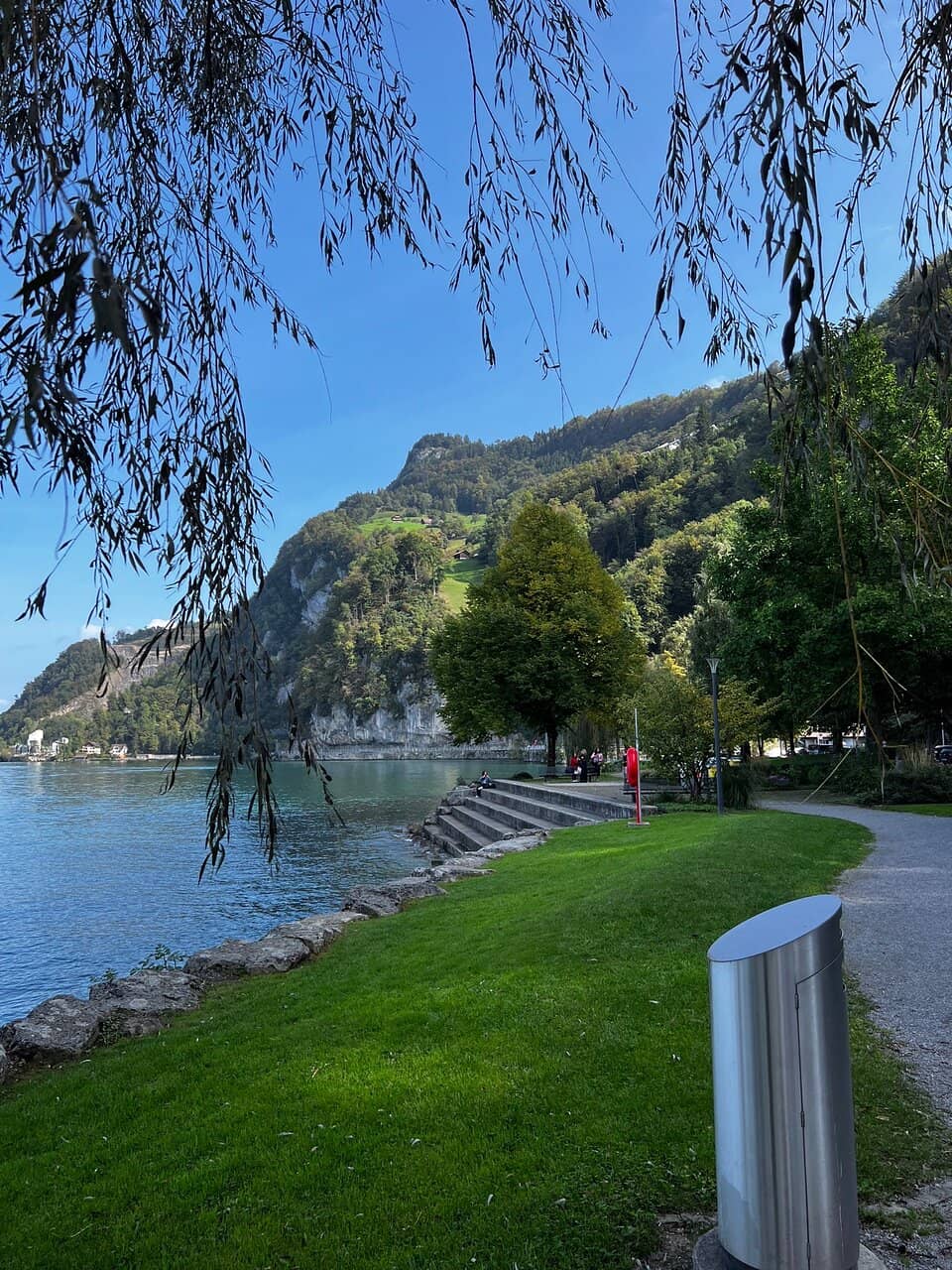 Picturesque Train Journey