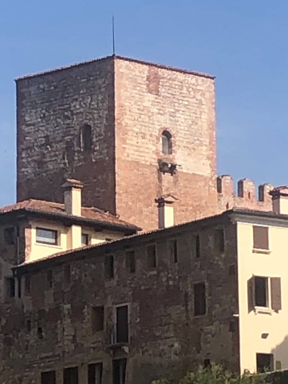 Vertical photo