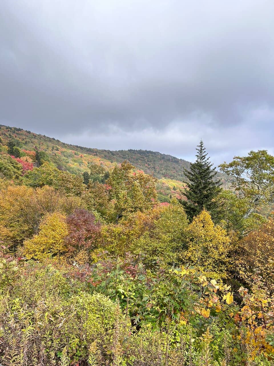 Tanawha Trail Access