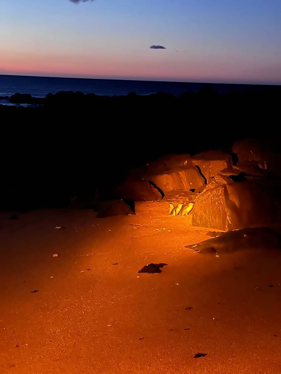 Knowledgeable Guides